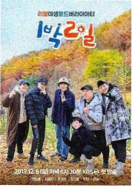 乘风破浪6 - 兔子先生视频